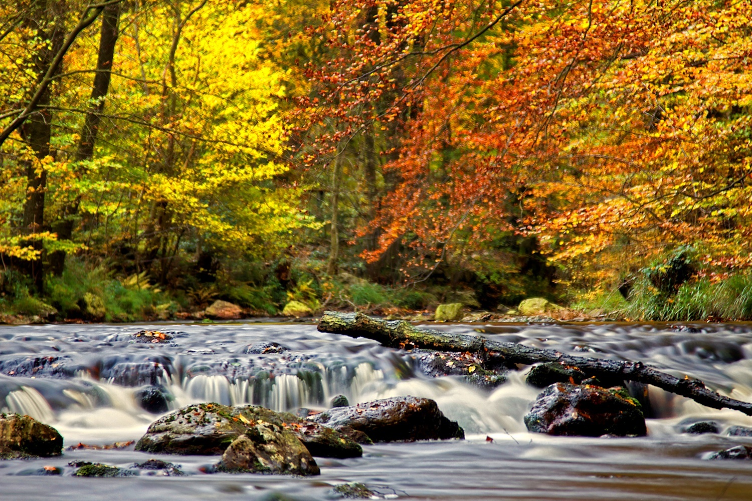 Herfst Ardennen 2