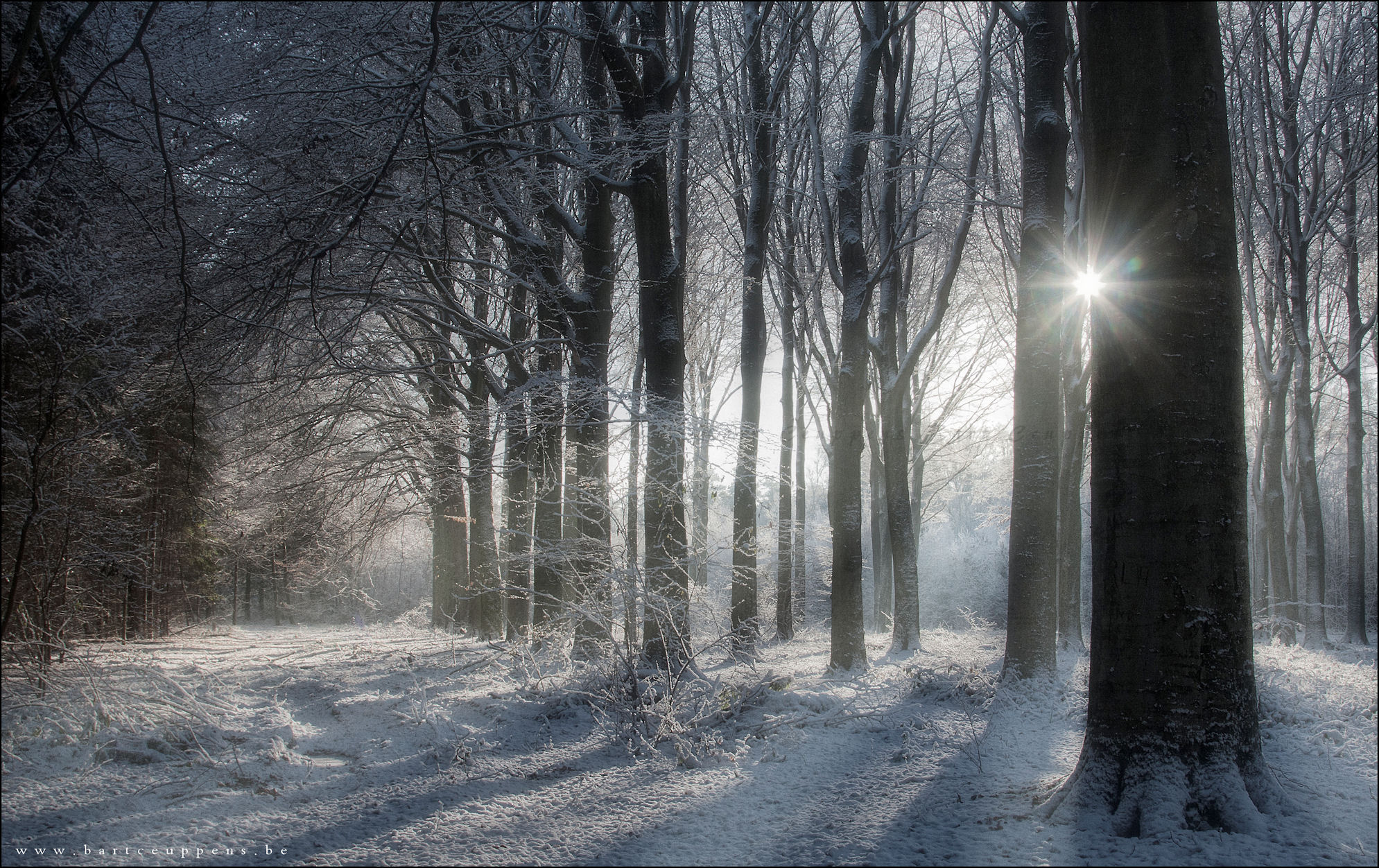 a winter fairytale 2b