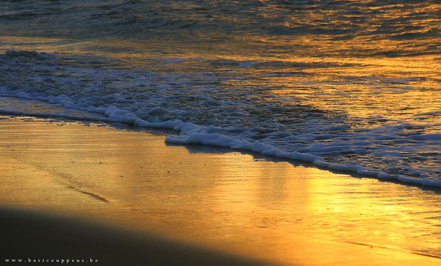 on golden beach (2)