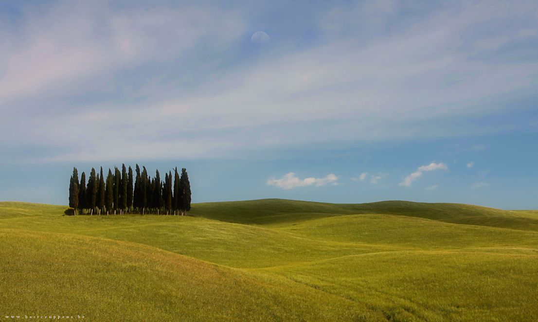 spring in tuscany 14 b